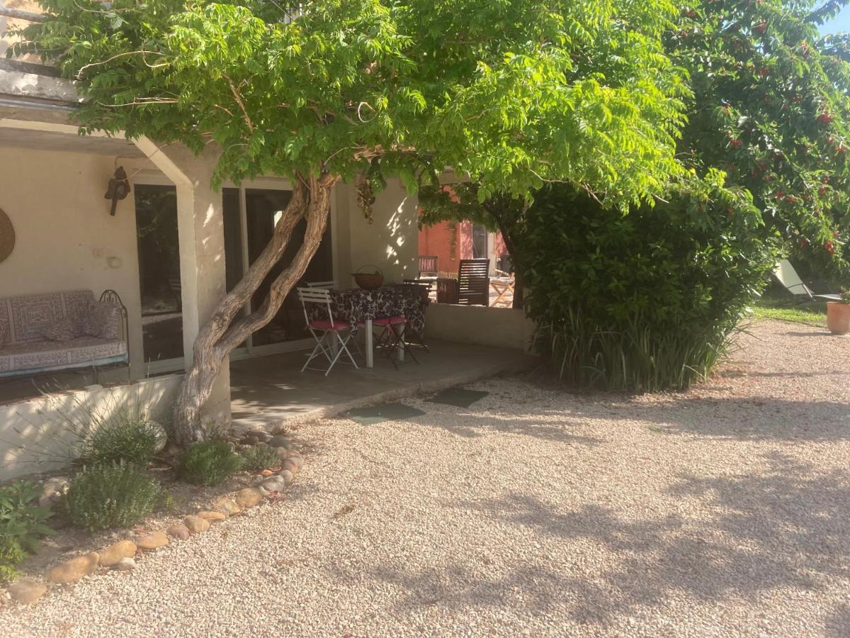 Apartament Chez Zabou Carpentras Zewnętrze zdjęcie